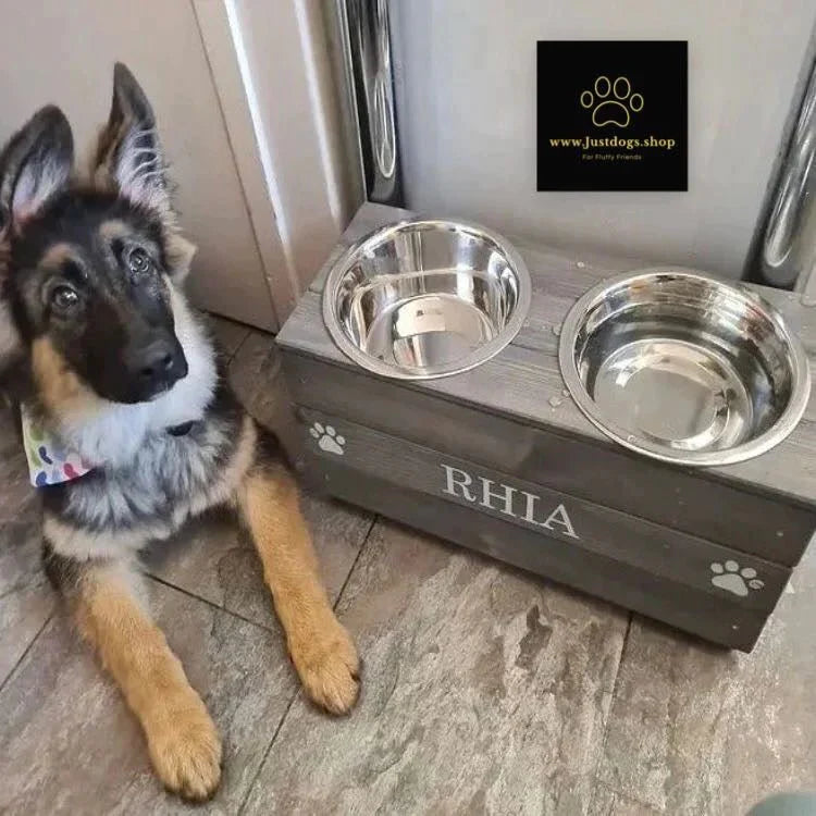 25cm High Personalised Raised Dog Bowls