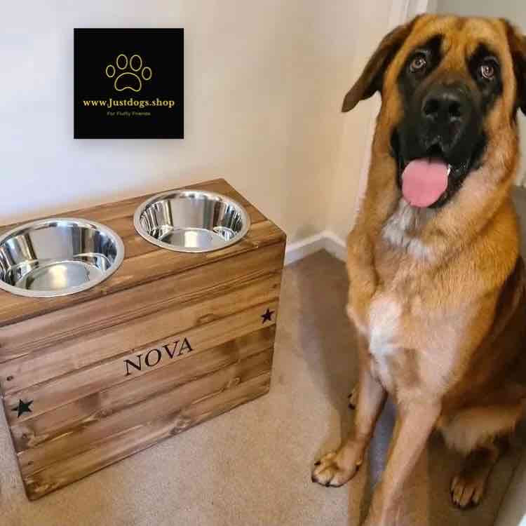 38 to 45cm Height Personalised Raised Dog Bowls
