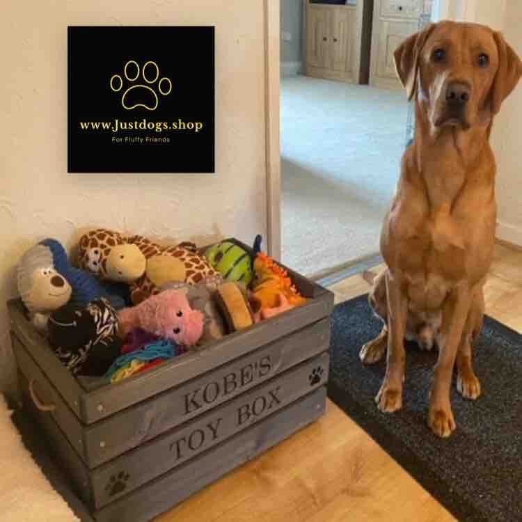 Cajas de juguetes para perros personalizadas