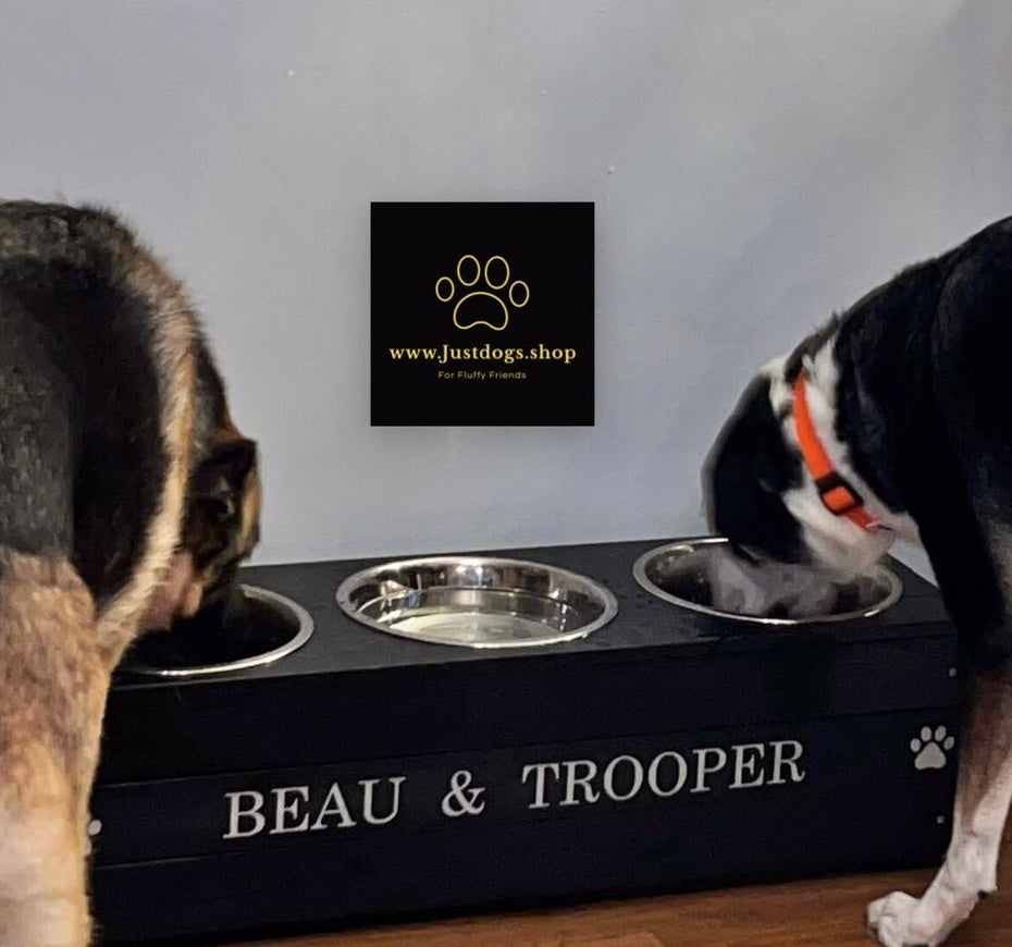 Triple Personalised Raised Dog Bowls